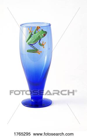Stock Photography - A frog in a glass. Fotosearch