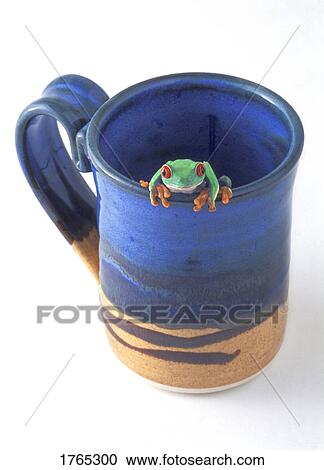 Stock Image - A frog in a mug. Fotosearch