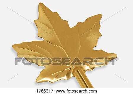 A gold maple leaf View Large Photo Image Stock Photo - A gold maple leaf. Fotosearch
