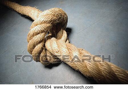 Picture - A knot. Fotosearch