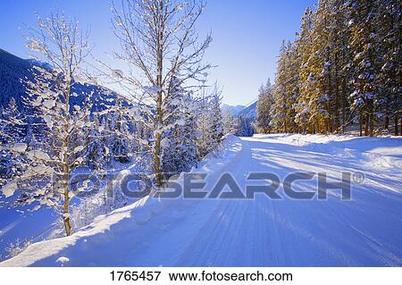 A snowy road View Large Photo Image Stock Photo - A snowy road. Fotosearch