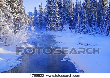 A winter wonderland View Large Photo Image Stock Image - A winter wonderland. Fotosearch