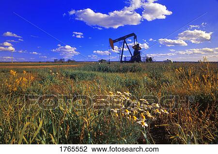 An oil derrick View Large Photo Image Stock Image - An oil derrick. Fotosearch