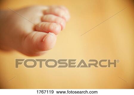 Stock Photo - Baby toes. Fotosearch