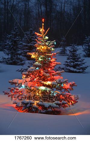 Stock Image - Christmas Tree with lights in Forest in Winter . Fotosearch