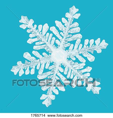 Closeup of a snowflake View Large Photo Image Picture - Closeup of a snowflake. Fotosearch