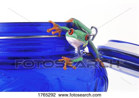 Stock Image - Frog hangs on jar. Fotosearch