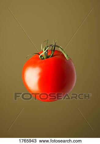 Stock Image - Red tomato. Fotosearch