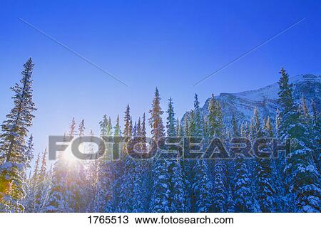 Sun rays over the mountain View Large Photo Image Stock Image - Sun rays over the mountain. Fotosearch
