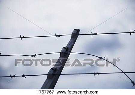 A barbed wire fence View Large Photo Image Stock Photo - A barbed wire fence. Fotosearch