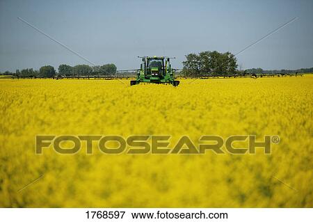 A farmer working in a field View Large Photo Image Stock Photo - A farmer working in a field. Fotosearch