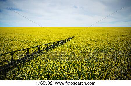A farmer's field View Large Photo Image Stock Image - A farmer's field. Fotosearch