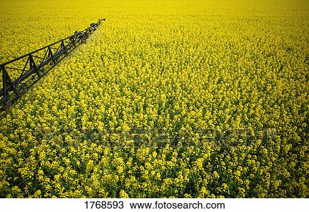 A farmer's field View Large Photo Image Stock Image - A farmer's field. Fotosearch