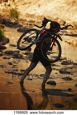 Carrying bicycle across water View Large Photo Image Stock Photo - Carrying bicycle across water. Fotosearch