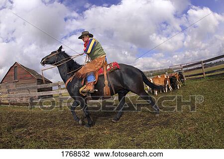 Cowboy working View Large Photo Image Stock Image - Cowboy working. Fotosearch