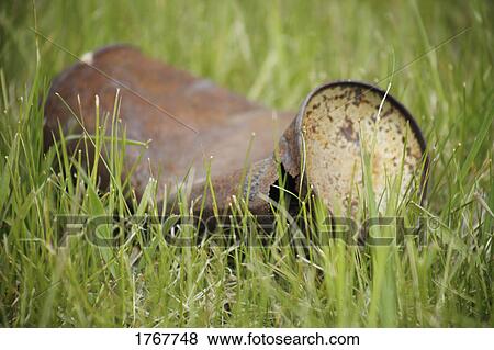 Stock Photo - Litter on the ground. Fotosearch