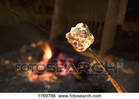 Marshmallow toasted by camp fire View Large Photo Image Stock Photograph - Marshmallow toasted by camp fire. Fotosearch