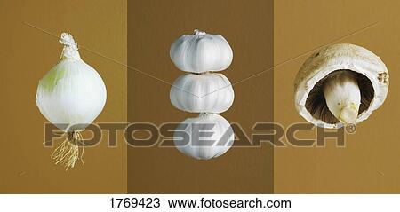 Onion, garlic and mushroom View Large Photo Image Stock Image - Onion, garlic and mushroom. Fotosearch