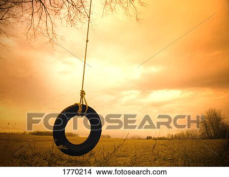 Picture - A tire swing. Fotosearch