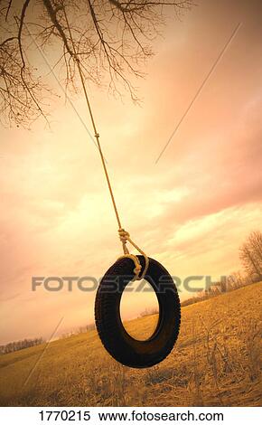 A tire swing View Large Photo Image Stock Photography - A tire swing. Fotosearch