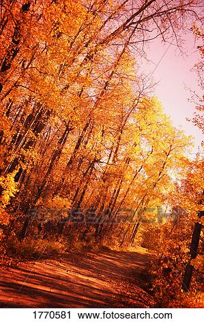 Autumn trail View Large Photo Image Stock Image - Autumn trail. Fotosearch