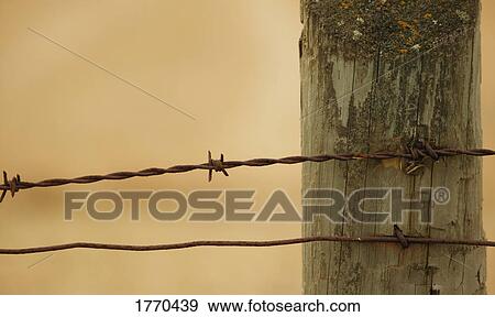 Barbed wire View Large Photo Image Stock Photo - Barbed wire. Fotosearch
