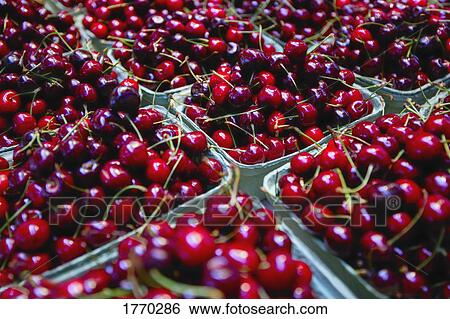 Stock Photograph - Cartons of cherries. Fotosearch