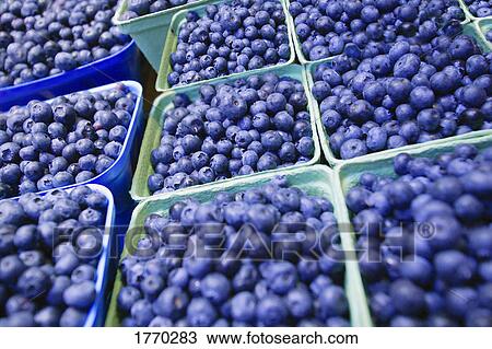 Close-up of blueberries View Large Photo Image Stock Image - Close-up of blueberries. Fotosearch