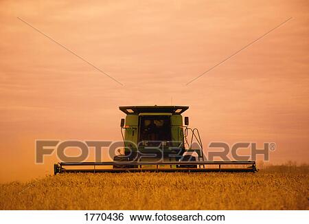 Stock Photograph - Combine during harvest. Fotosearch