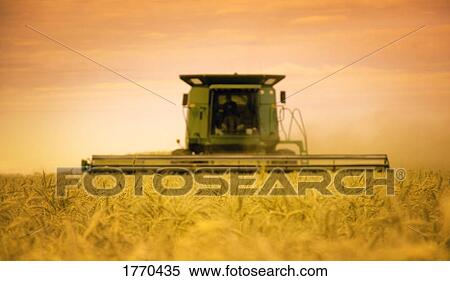 Stock Photography - Combine during harvest. Fotosearch