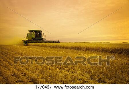Stock Photo - Combine Harvester. Fotosearch