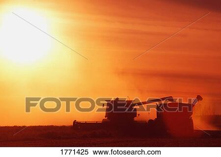 Farm equipment harvesting View Large Photo Image Stock Photography - Farm equipment harvesting. Fotosearch