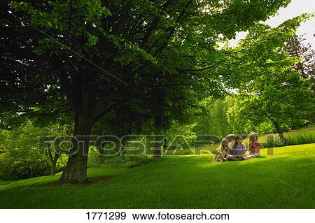 Four friends under a tree View Large Photo Image Stock Photo - Four friends under a tree. Fotosearch