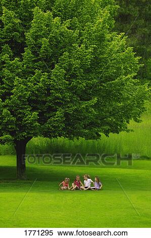 Stock Photography - Four young friends under a tree. Fotosearch