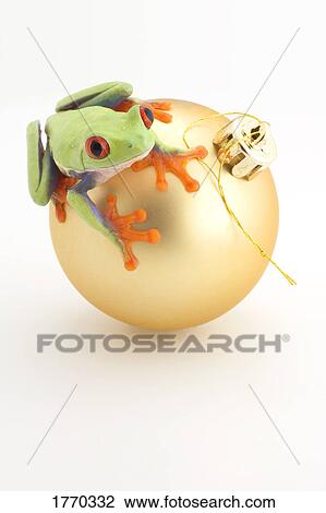 Stock Image - Frog on Christmas ball. Fotosearch
