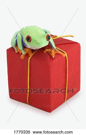 Stock Photography - Frog sitting on red package. Fotosearch