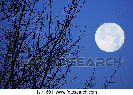 Full moon against evening sky View Large Photo Image Stock Image - Full moon against evening sky. Fotosearch
