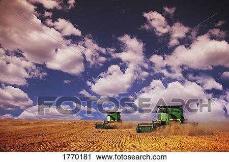 Harvest View Large Photo Image Stock Image - Harvest. Fotosearch