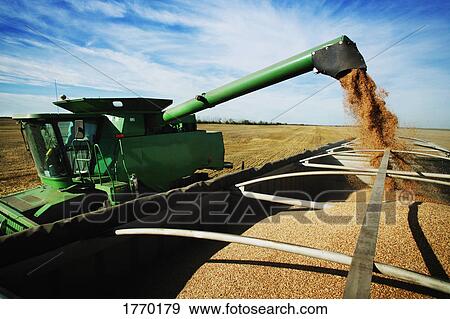 Stock Photo - Harvest. Fotosearch