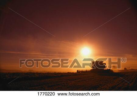Stock Image - Harvest time. Fotosearch