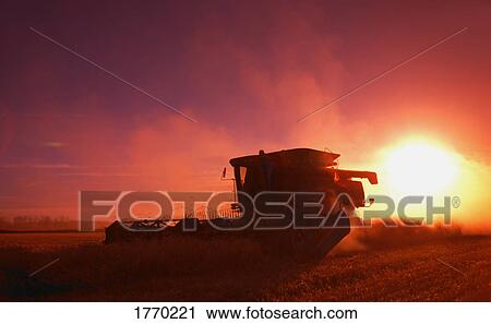 Stock Image - Harvest time. Fotosearch