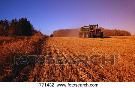 Harvest time View Large Photo Image Stock Image - Harvest time. Fotosearch