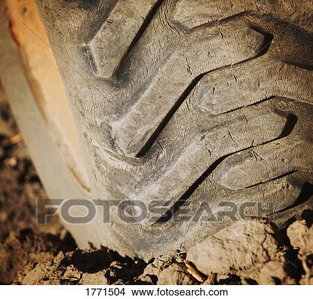 Picture - Large Tire. Fotosearch
