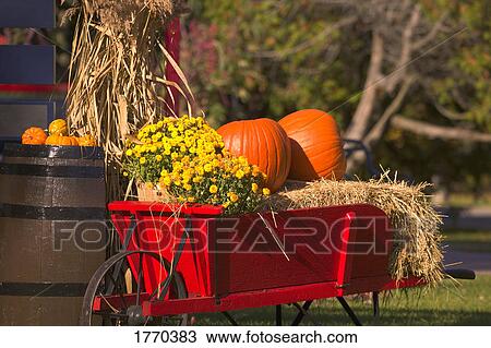 Stock Image - Pumpkins at Harvest Time. Fotosearch