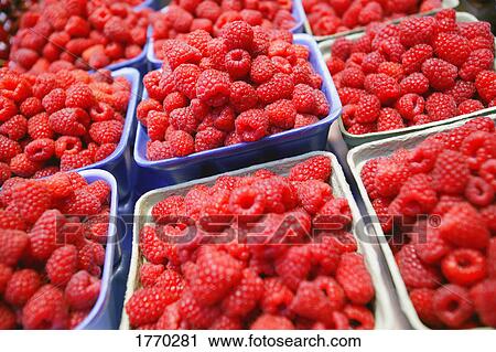 Stock Image - Raspberries in cartons. Fotosearch