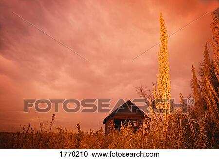 Shack and meadow View Large Photo Image Stock Image - Shack and meadow. Fotosearch