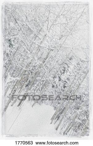 Stock Image - Snow on trees. Fotosearch