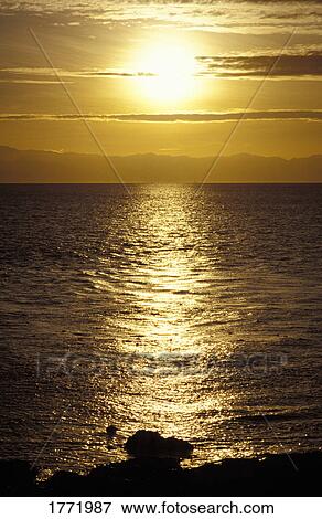 Stock Photo - Sunlight on the sea. Fotosearch