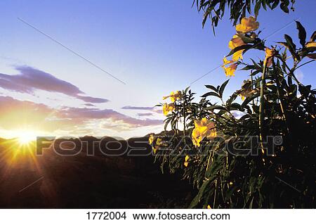 Sunrise and a new day View Large Photo Image Picture - Sunrise and a new day. Fotosearch
