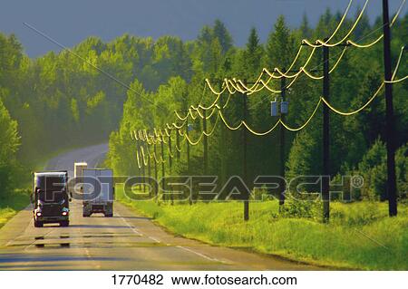 Stock Image - Trucks on forest road. Fotosearch